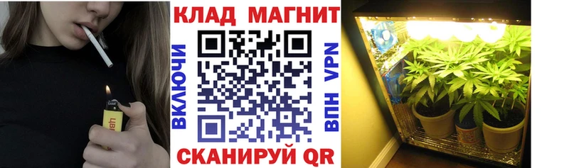Где купить Новотроицк АМФ  Alpha PVP  ГАШИШ  Каннабис  Меф  omg ССЫЛКА  КОКАИН  Псилоцибиновые грибы 