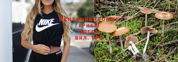 мяу мяу кристалл Надым