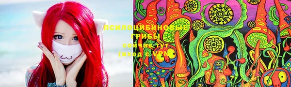 ГАЛЛЮЦИНОГЕННЫЕ ГРИБЫ Алагир
