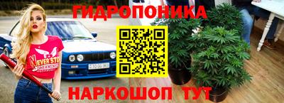 МДПВ Гагарин