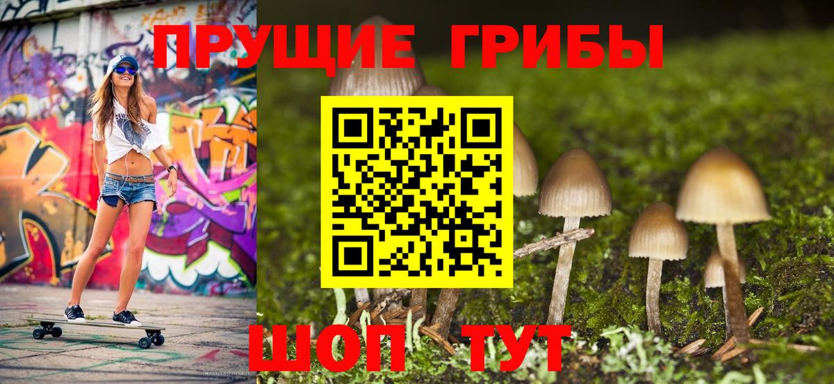 Галлюциногенные грибы Psilocybe  купить наркотики цена  Новотроицк  Псилоцибиновые грибы ЛСД 