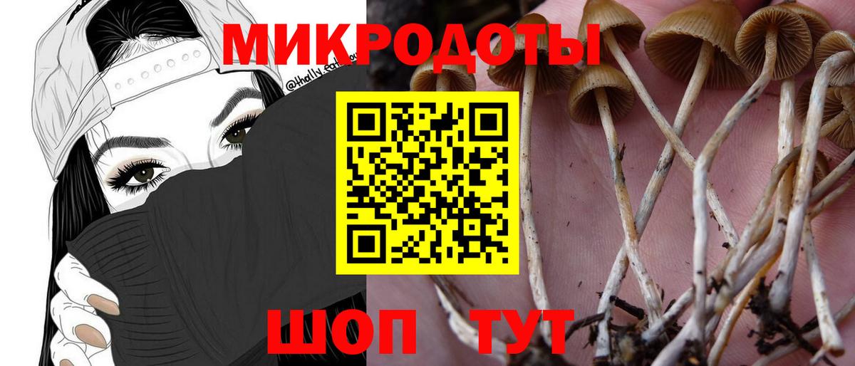 Новотроицк  Псилоцибиновые грибы Cubensis  Вход с VPN  закладки  Псилоцибиновые грибы Psilocybine cubensis 
