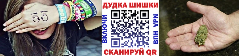 блэк спрут ONION  Новотроицк  Бошки Шишки план  наркота 